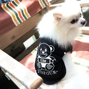 N}TVc XXL-3XLTCY ybg  ̕  O  O  t  TVc  킢    D v[g a ^ ^ ` g