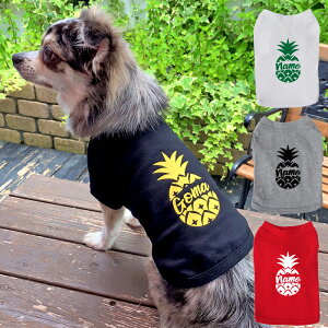 pCibv hbOpTVc XXL-3XLTCY ybg  ̕  O  O  t  TVc  킢    D v[g a ^ ^ 