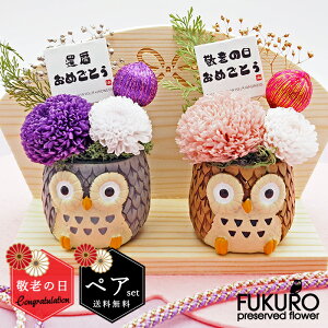 v[g ӂ낤vU[uht[(yAZbg)  v[g ΂  tNE  t[Mtg Mtg  O bZ[W a җj