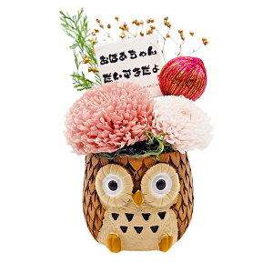 v[g ӂ낤vU[uht[(Pi1) tNE  t[Mtg ̓Mtg Mtg  O bZ[W a e җj 蕨 a j 50 60 70