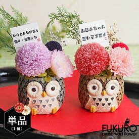 楽天市場 フクロウ 花 観葉植物 花 ガーデン Diy の通販