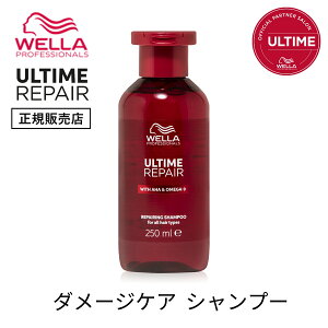 yK̔XzWELLA EG A^C yA Vv[ 250ml Tꔄi eꔄi _[WPA wAPA