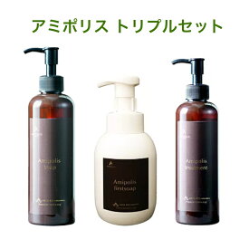 【3点セット】〈アミポリス〉ファーストソープ 360ml＋アミポリスソープ300ml＋トリートメント250gスキャルプケア スカルプケア 頭皮ケア 抜け毛 頭皮クレンジング 加齢臭アミノ酸系 細毛 ノンシリコン 保湿 泡シャンプー ボリュームアップ Wシャンプー