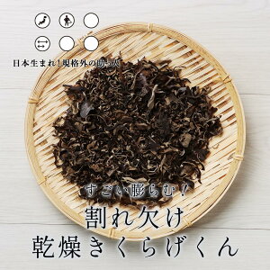  炰  Y cށIꌇ炰 200g tt@[ LNQ ώ ؎ 炰 m ̂ 󂠂 Hi  P HiX C