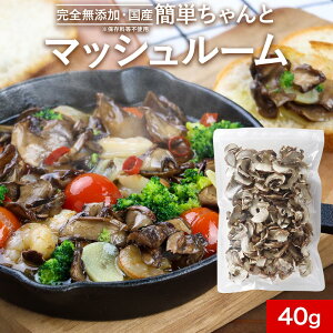  Y ȒP }bV[ 40g uhEsgp ̂ LmR ۑ ۑH X`̋ ݂`̋   hC ₳ X[v̋ Aq[W