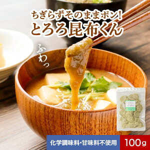 Ƃ덩z 100g Y 炸ȒP  ۂƂ  󂠂 HiX XY kCY X`̋  z X[v KiȌl ^ubg e ֗ RXp ی` ی^ 