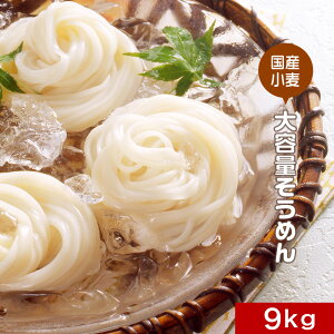 ߂ f  Ygp e 9Kgi450g×20܁j@ؐn26Ԋ ˗ ߂ 󂠂 ܂Ƃߔ ܂Ƃߔ ɂイ 