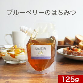 【10%OFFセール】ブルーベリーのはちみつ 125g 100％ 純粋 カナダ産 蜂蜜 ハチミツ 1000円ポッキリ 送料無料 キャップ付き スタンドパック