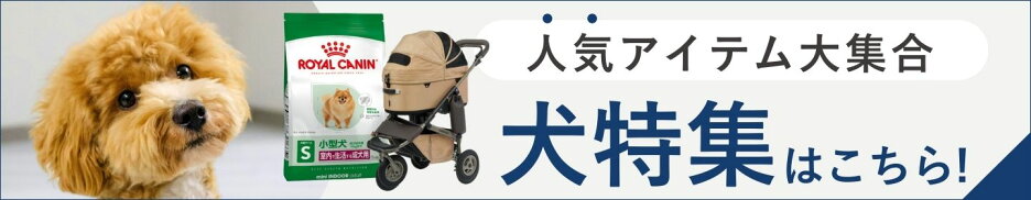 愛犬のごちそうフード＆注目商品特集