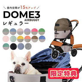 【LINE追加で500円OFF|お買い物が保護犬猫支援】エアバギー ドーム3 ブレーキ レギュラー R / エアバギー 犬 猫 AirBuggy for PET DOME3 ペットカート 小型犬多頭 ゆったり 散歩 通院 #w-163417