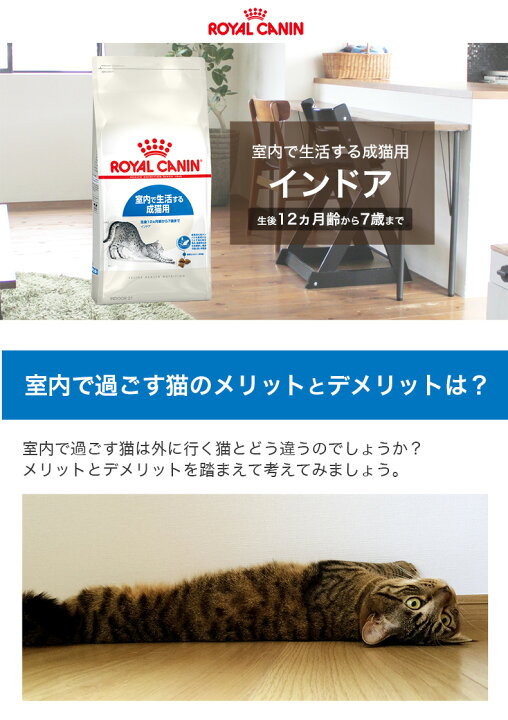 楽天市場】【お得な6個セット】ロイヤルカナン インドア 2kg / 室内で 