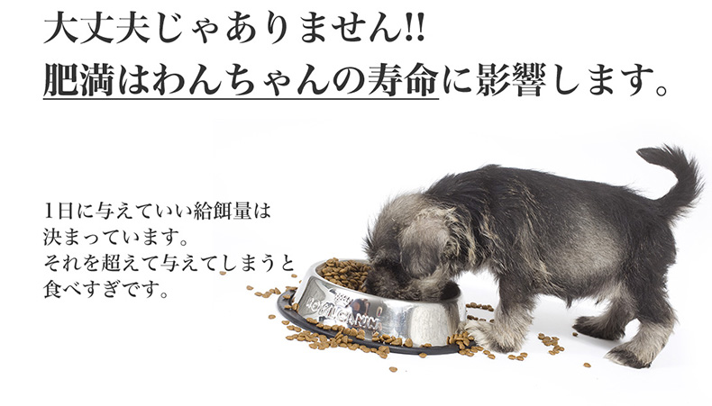 楽天市場】ロイヤルカナン ミディアム ステアライズド 12kg / 中型犬