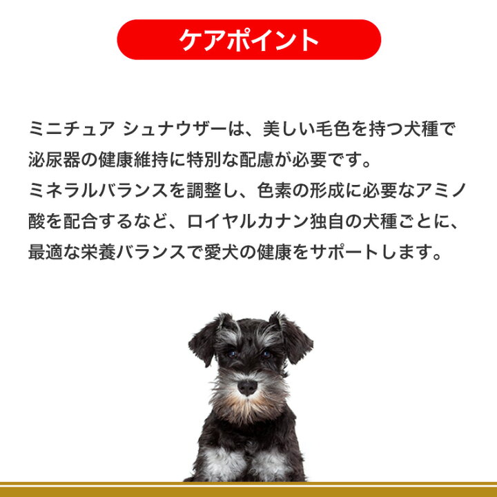 楽天市場】【全品ﾎﾟｲﾝﾄ5倍！さらに1000円クーポン！※要ｴﾝﾄﾘｰ】ロイヤル 