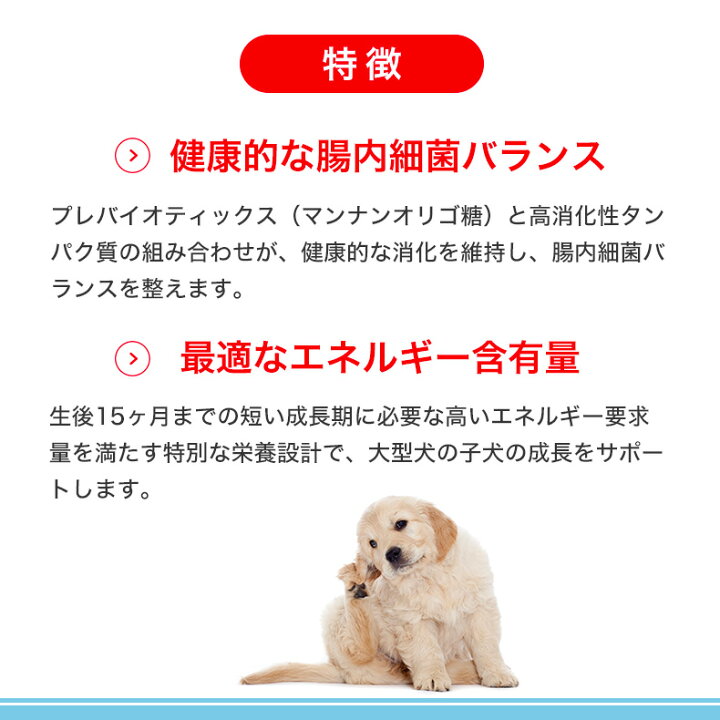 楽天市場】【LINE登録で500円クーポン！】ロイヤルカナン マキシ 