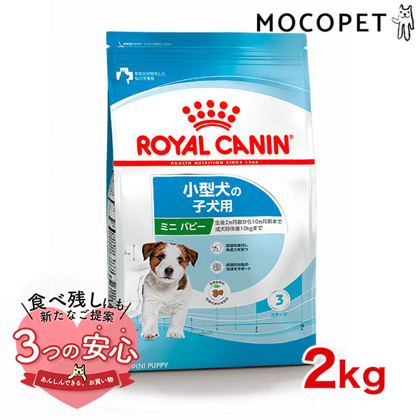 楽天市場】ロイヤルカナン ミニ パピー 2kg / 小型犬（成犬時体重1