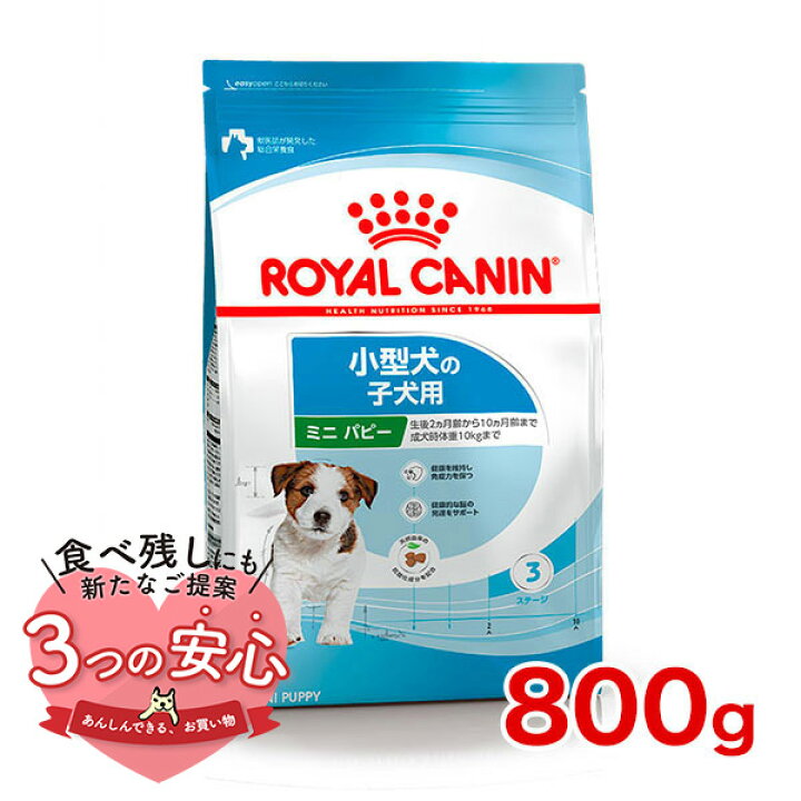 楽天市場】ロイヤルカナン ミニ パピー 800g / 小型犬（成犬時体重1 