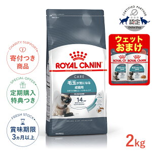 yLINEǉ500~OFFIzCJi wA{[ PA 2kg / ыʂCɂȂ鐬Lpi12ȏj / FCN L hCt[h Wbp[L #w-105179-00-00