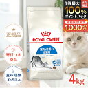 【7/20限定!先着最大1,000円OFFクーポン|抽選最大100%P還元※要エントリー】ロイヤルカナン インドア 4kg / 室内で生…
