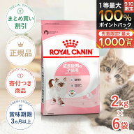 まとめ買いがお得【6個】【5/10(日)限定！抽選で最大100%P還元※要エントリー｜LINE追加で500円OFF！】ロ…