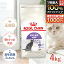 【8/15限定！抽選で最大100%P還元※要エントリー｜LINE追加で500円OFF】ロイヤルカナン ステアライズド 4kg / 避妊・…
