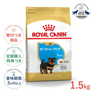 yő400~OFFN[|v擾&LINEǉ500~OFFIzCJi [NV[eA qp 1.5kg / [NV[eAqpi10܂Łj / BHN  hCt[h Wbp[L #50