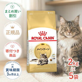 まとめ買いがお得【5個】【ポイント最大32.5倍｜LINE追加で500円OFF】ロイヤルカナン メインクーン 成猫用 2kg / メインクーン 成猫用（生後15ヵ月齢から12歳まで） / FBN 猫 ドライフード ジッパー有り #st-w-105173-00-00