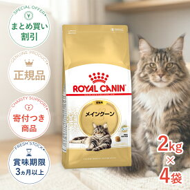 まとめ買いがお得【4個】【ポイント最大32.5倍｜LINE追加で500円OFF】ロイヤルカナン メインクーン 成猫用 2kg / メインクーン 成猫用（生後15ヵ月齢から12歳まで） / FBN 猫 ドライフード ジッパー有り #stw-105173-00-04
