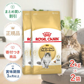 まとめ買いがお得【2個】【LINE追加で500円OFF|お買い物が保護犬猫支援】ロイヤルカナン ノルウェージャン フォレスト キャット 成猫用 2kg / 成猫用（生後12ヵ月齢から12歳まで） / FBN 猫 ドライフード ジッパー有り #stw-149009-00-01