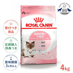 yő400~OFFN[|v擾LINEǉ500~OFFIzCJi }U[xr[Lbg 4kg / O̎qLp LpiDP`j/qLpi1`4܂Łj / FHN L h