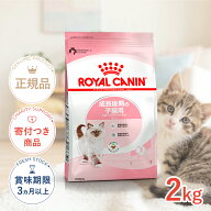 【LINE追加で500円OFF！】ロイヤルカナン キトン 2kg / 成長後期の子猫用（生後12ヵ月齢まで） / FHN 猫 …