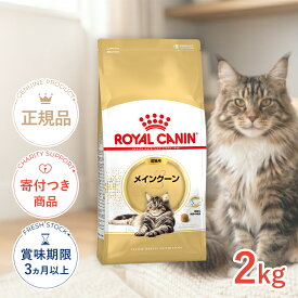 【ポイント最大32.5倍｜LINE追加で500円OFF】ロイヤルカナン メインクーン 成猫用 2kg / メインクーン 成猫用（生後15ヵ月齢から12歳まで） / FBN 猫 ドライフード ジッパー有り #w-105173-00-00