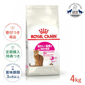 yLINEǉ500~OFFIzCJi ZCo[ GNVWFg 4kg / 킢EHŐH~h Hɂ肪鐬Lpi1212΂܂Łj / FHN L hCt[h Wbp[L