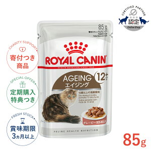 yLINEǉ500~OFFIzCJi GCWO 12+ O[r[ 85g / 12Έȏ̍Lp(12Έȏ) / FHN-WET L EFbgt[h pE` #w-111739-00-00