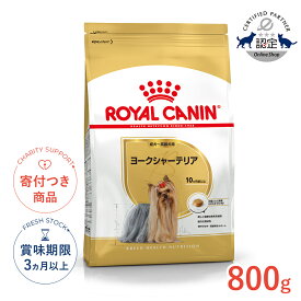 【LINE追加で500円OFF！】ロイヤルカナン ヨークシャーテリア 成犬〜高齢犬用 800g / ヨークシャーテリア成犬・高齢犬用（生後10ヵ月齢以上) / BHN 犬 ドライフード ジッパー有り #w-113782-00-00