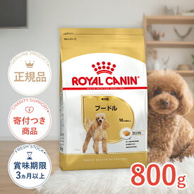 【ポイント5倍※要エントリー｜LINE追加500円OFF】ロイヤルカナン プードル 成犬用 800g / プードル成犬用（生後10ヵ月齢以上） / BHN 犬 ドライフード ジッパー有り #w-113784-00-00