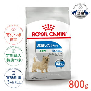 yLINEǉ500~OFFIzCJi ~j Cg EFCg PA 800g / ^ ʂpi10ȏj / CCN  hCt[h Wbp[L #w-113805-00-00