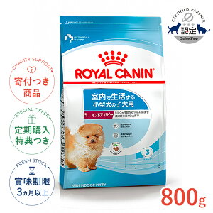 yLINEǉ500~OFFIzCJi ~j ChA ps[ 800g / Ő鏬^ȉd10kg܂Łj̎qpi10܂Łj / SHN  hCt[h Wbp[L #w-113809-00-00