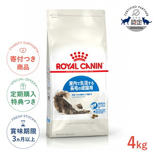 yLINEǉ500~OFFI^wōؓTIzCJi ChA OwA[ 4kg / Ő钷т̐Lpi127΂܂Łj / FHN L hCt[h Wbp[L #w-12