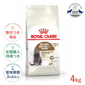 yő400~OFFN[|v擾LINEǉ200~OFFIzCJi GCWO XeACYh 12+ 4kg / DE Lp 12Έȏ / FHN L hCt[h Wbp[L #w-124434-00-00