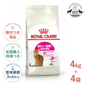 yLINEǉ500~OFFIzy4ZbgzCJi ZCo[ GNVWFg 4kg / Hɂ肪鐬Lpi1212΂܂Łj / FHN L hCt[h Wbp[L