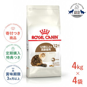 yő400~OFFN[|v擾LINEǉ200~OFFIzy4ZbgzCJi GCWO 12+ 4kg / Lpi12Έȏj / FHN L hCt[h Wbp[L #w-137891-00-00