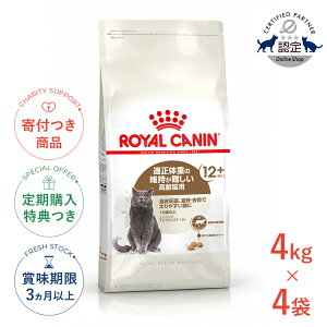 yő400~OFFN[|v擾LINEǉ200~OFFIzy4ZbgzCJi GCWO XeACYh 12+ 4kg / DE Lp 12Έȏ / FHN L hCt[h Wbp[L