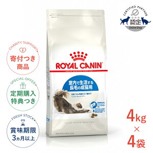 yLINEǉ500~OFFIzy4ZbgzCJi ChA OwA[ 4kg / Ő钷т̐Lpi127΂܂Łj / FHN L hCt[h Wbp[L #w-137938-