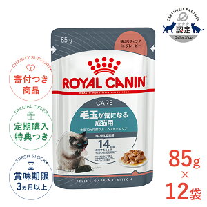 yLINEǉ500~OFFIzy12ZbgzCJi wA{[ PA O[r[ 85g / ыʂCɂȂ鐬Lp(12ȏ) / FCN-WET L EFbgt[h pE` #w-139701-00-00