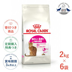 yLINEǉ500~OFFIzy6ZbgzCJi ZCo[ GNVWFg 2kg / 킢EHŐH~h Hɂ肪鐬Lp / FHN L hCt[h Wbp[L