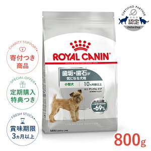 yLINEǉ500~OFFIzCJi ~j f^PA 800g / ^ CE΂CɂȂ錢pi10ȏj / CCN  hCt[h Wbp[L #w-159125-00-00