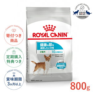 yLINEǉ500~OFFIzCJi ~j i[PA 800g / ^ NȔAێpi10ȏj / CCN  hCt[h Wbp[L #w-159129-00-00