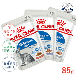 yő400~OFFN[|v擾&LINEǉ500~OFFIzCJi ChA 85g / O[r[ [[ [t / Ő鐬Lp 12ȏ / FHN-WET L EFbgt[h pE` #w-16