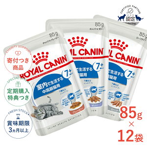 yő400~OFFN[|v擾&LINEǉ500~OFFIzy12ZbgzCJi ChA 7+ 85g / O[r[ [[ [t / Ő钆Lp 7Έȏ / FHN-WET L EFbg