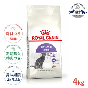 yő400~OFFN[|v擾LINEǉ200~OFF^wōؓTIzCJi XeACYh 4kg / DE Lp 12ȏ / FHN L hCt[h Wbp[L #w-16